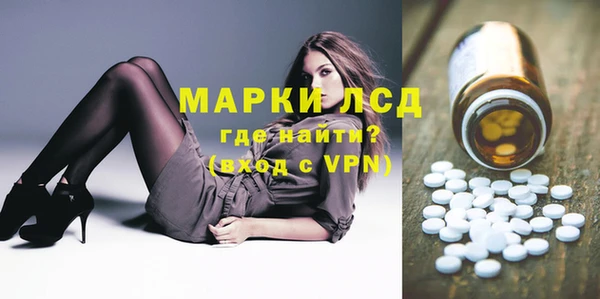 прущие грибы Балабаново