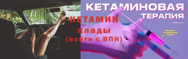 прущие грибы Балабаново